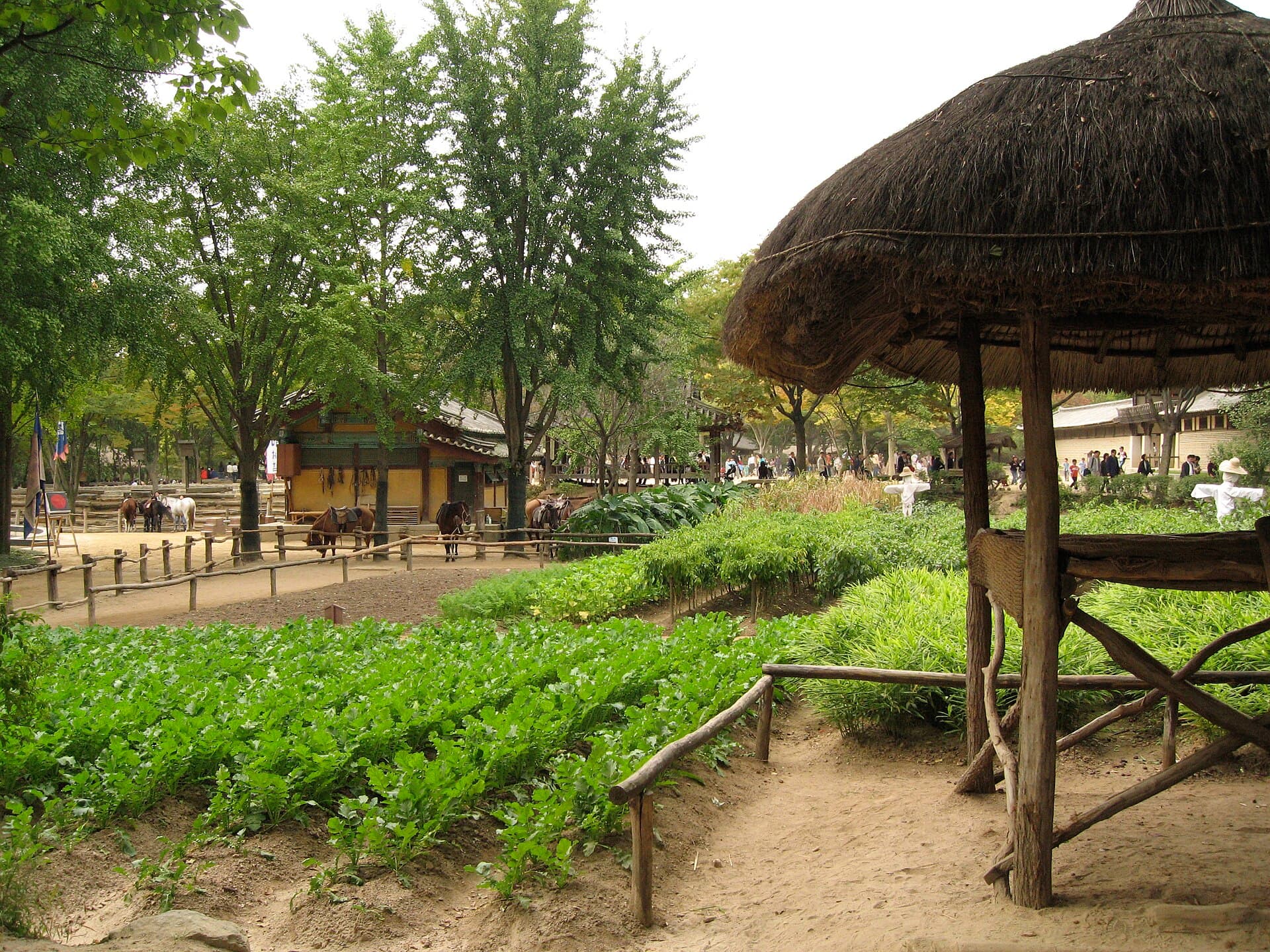 Korean Folk Village Day