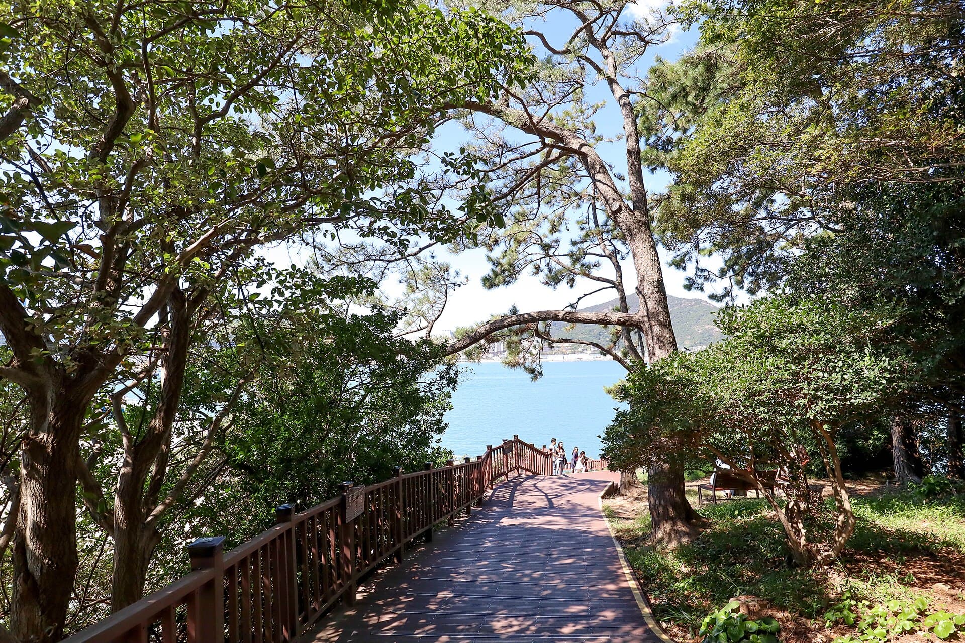 여수 오동도·밤바다