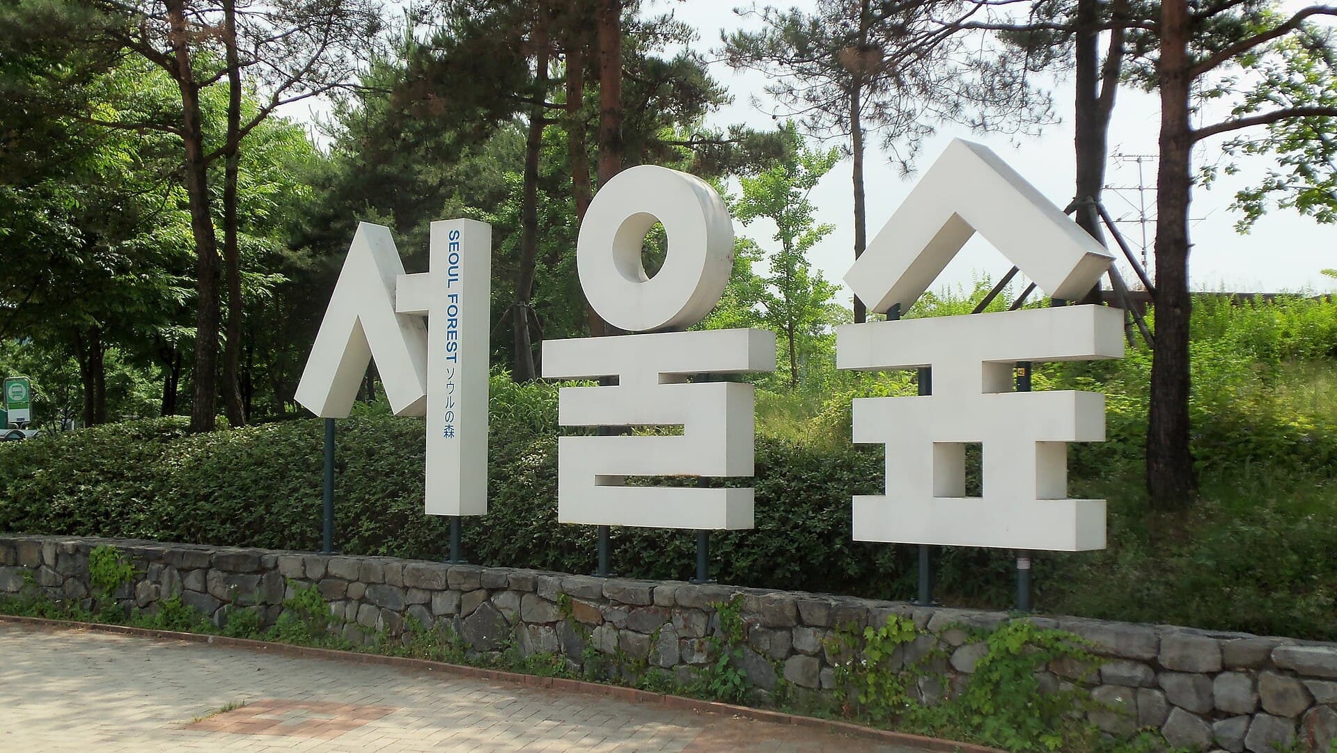 Seoul Forest & the River