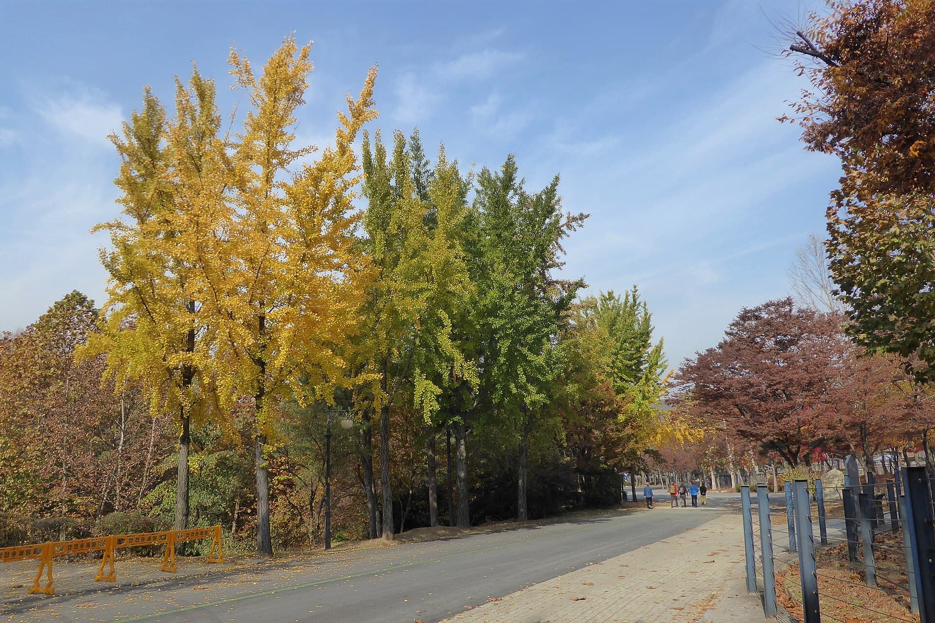 Seoul Grand Park Zoo